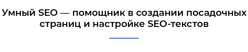 t_seo.png